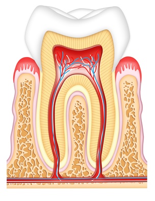 Endodonzia